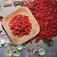 Usine de haute qualité de baie de goji à vendre